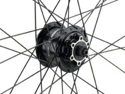 Mountain Alivio Disc 6-Loch DT Swiss 466d 29" Laufradsatz -Günstige Fahrräder 399626