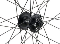 Mountain Alivio Disc 6-Loch DT Swiss 466d 29" Laufradsatz -Günstige Fahrräder 399633